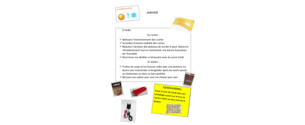 Apiculteur que faire en janvier